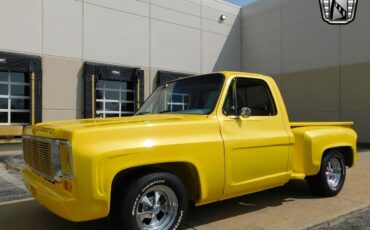 Chevrolet-C-10-Pickup-1976-5