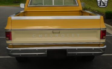 Chevrolet-C-10-Pickup-1979-4