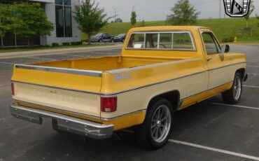 Chevrolet-C-10-Pickup-1979-5