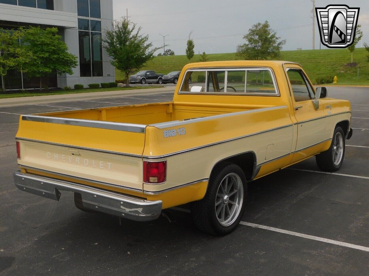 Chevrolet-C-10-Pickup-1979-5