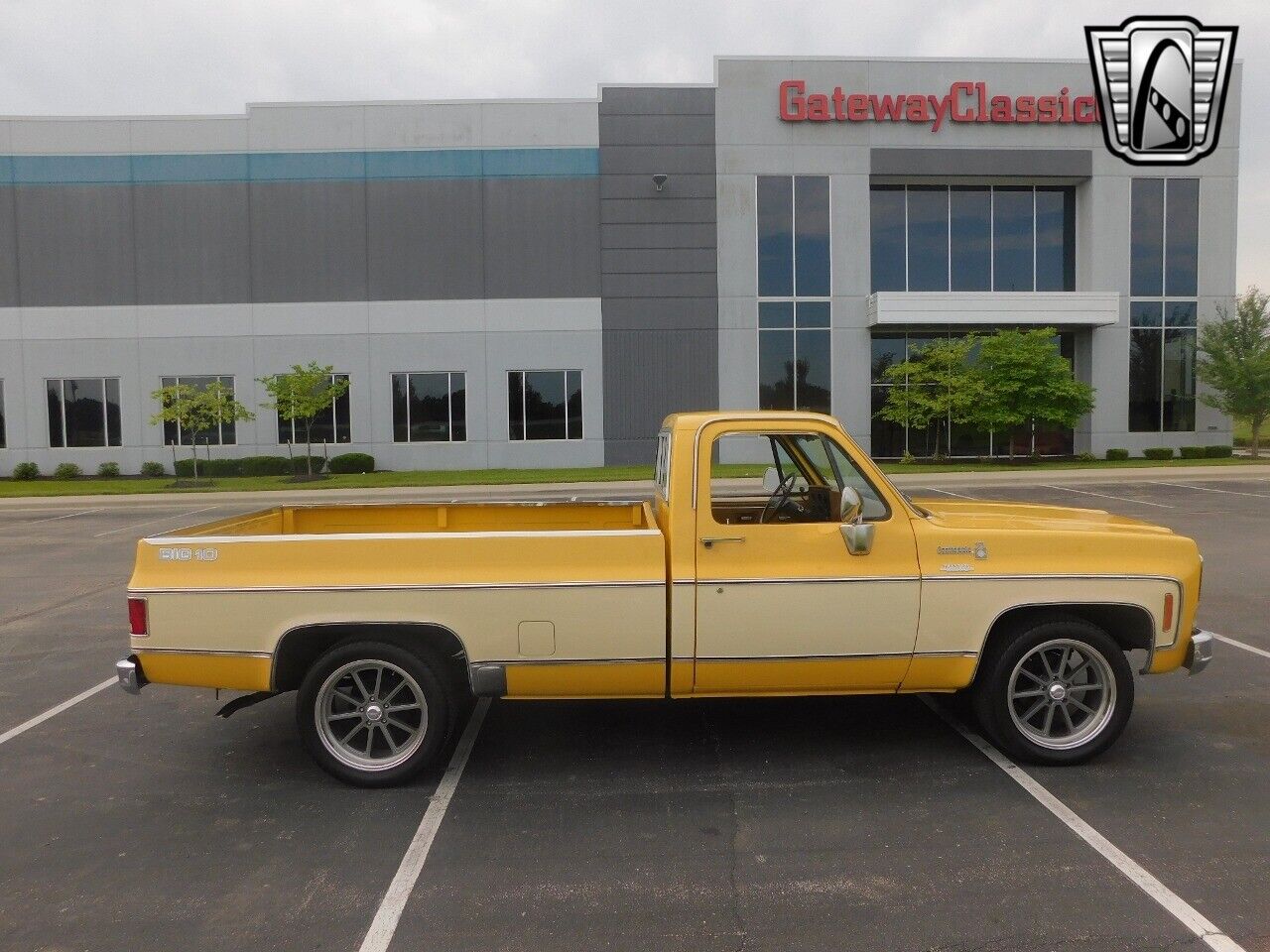 Chevrolet-C-10-Pickup-1979-6