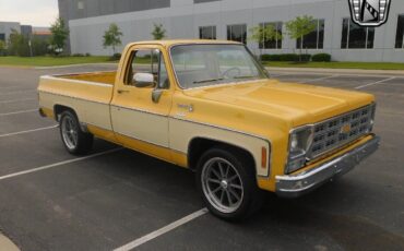 Chevrolet-C-10-Pickup-1979-7