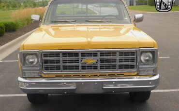 Chevrolet-C-10-Pickup-1979-8