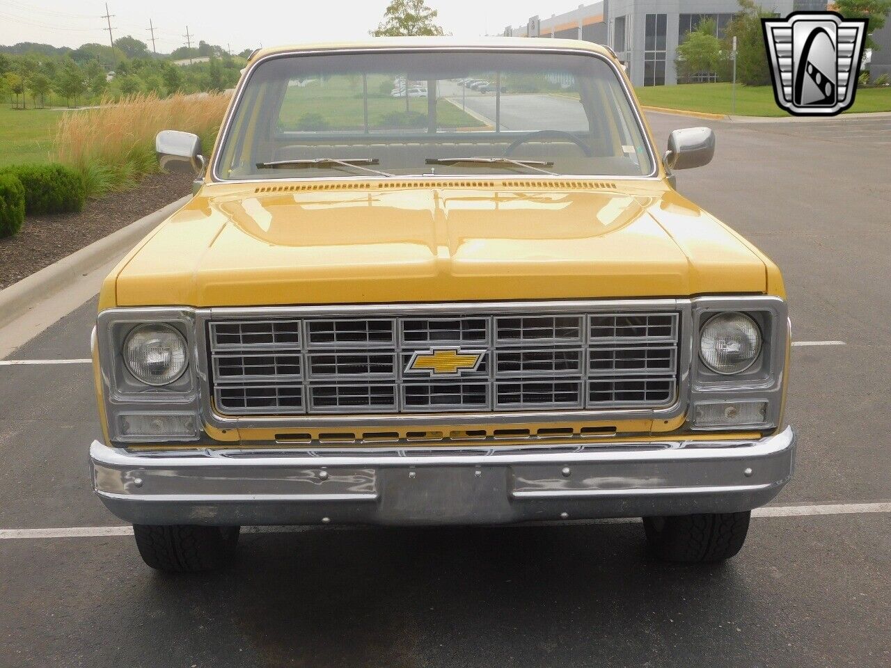 Chevrolet-C-10-Pickup-1979-8