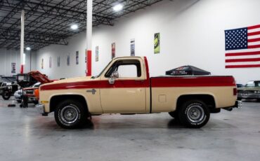 Chevrolet-C-10-Pickup-1985-1