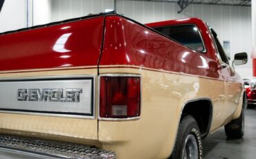 Chevrolet-C-10-Pickup-1985-10