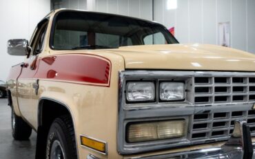 Chevrolet-C-10-Pickup-1985-11