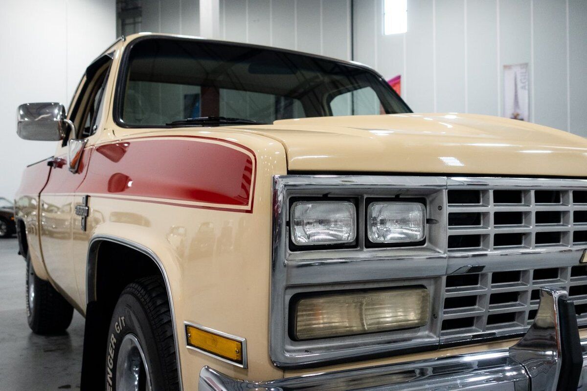 Chevrolet-C-10-Pickup-1985-11