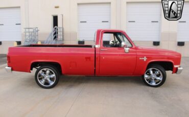 Chevrolet-C-10-Pickup-1985-5