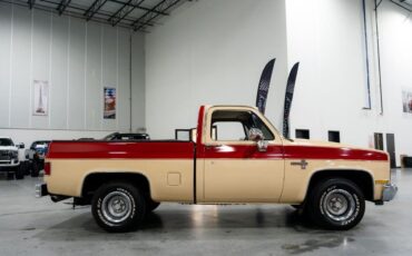 Chevrolet-C-10-Pickup-1985-5