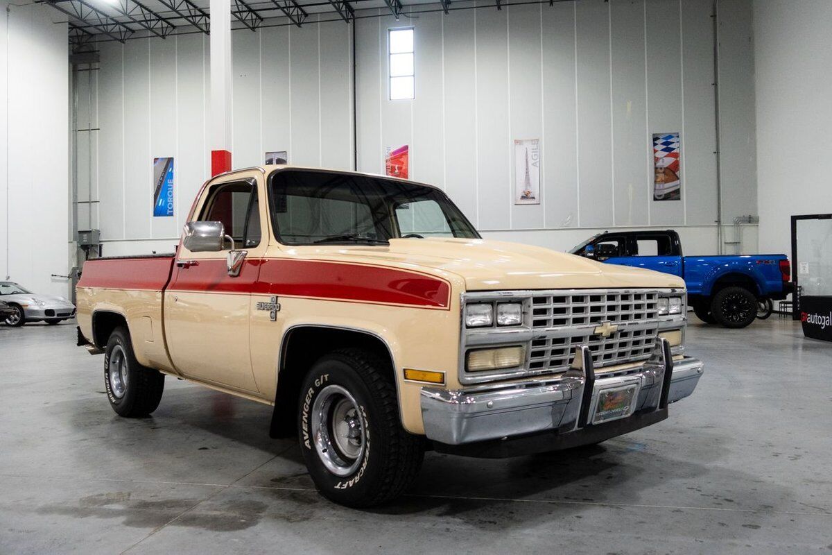 Chevrolet-C-10-Pickup-1985-6