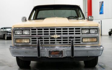 Chevrolet-C-10-Pickup-1985-7