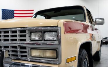 Chevrolet-C-10-Pickup-1985-8