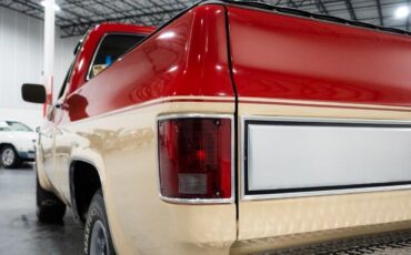 Chevrolet-C-10-Pickup-1985-9