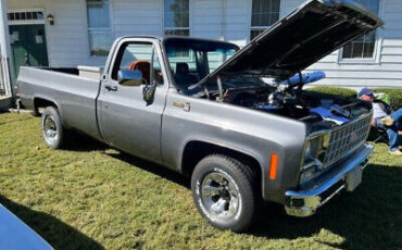 Chevrolet-C-10-Silverado-Pickup-1980-9