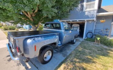 Chevrolet-C10-1973-13