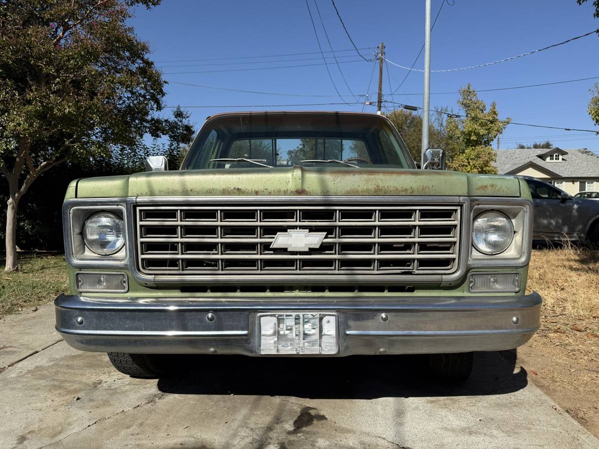 Chevrolet-C10-1976-1