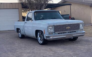 Chevrolet-C10-1976-1