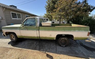 Chevrolet-C10-1976-10