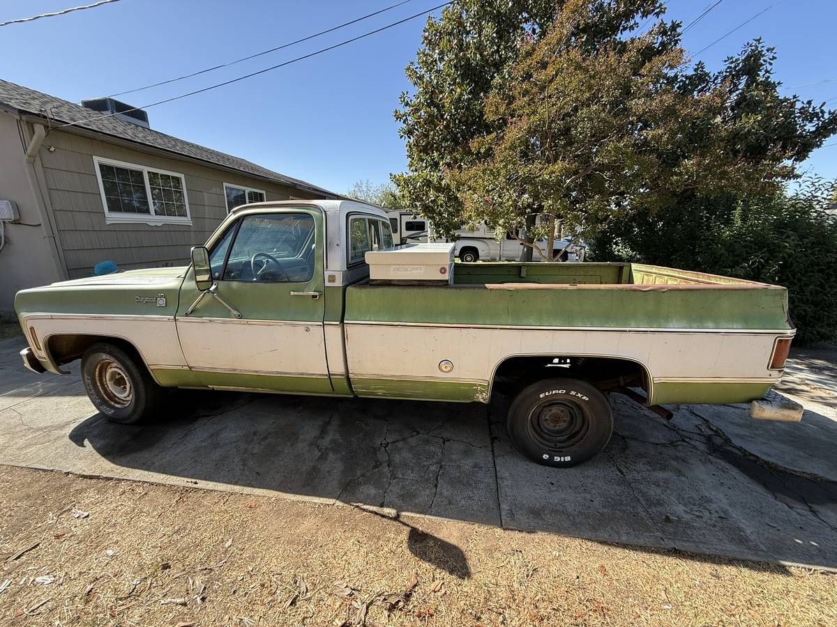 Chevrolet-C10-1976-10