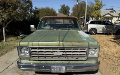 Chevrolet C10 1976