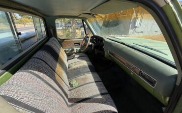 Chevrolet-C10-1976-15