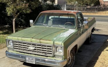 Chevrolet-C10-1976-17