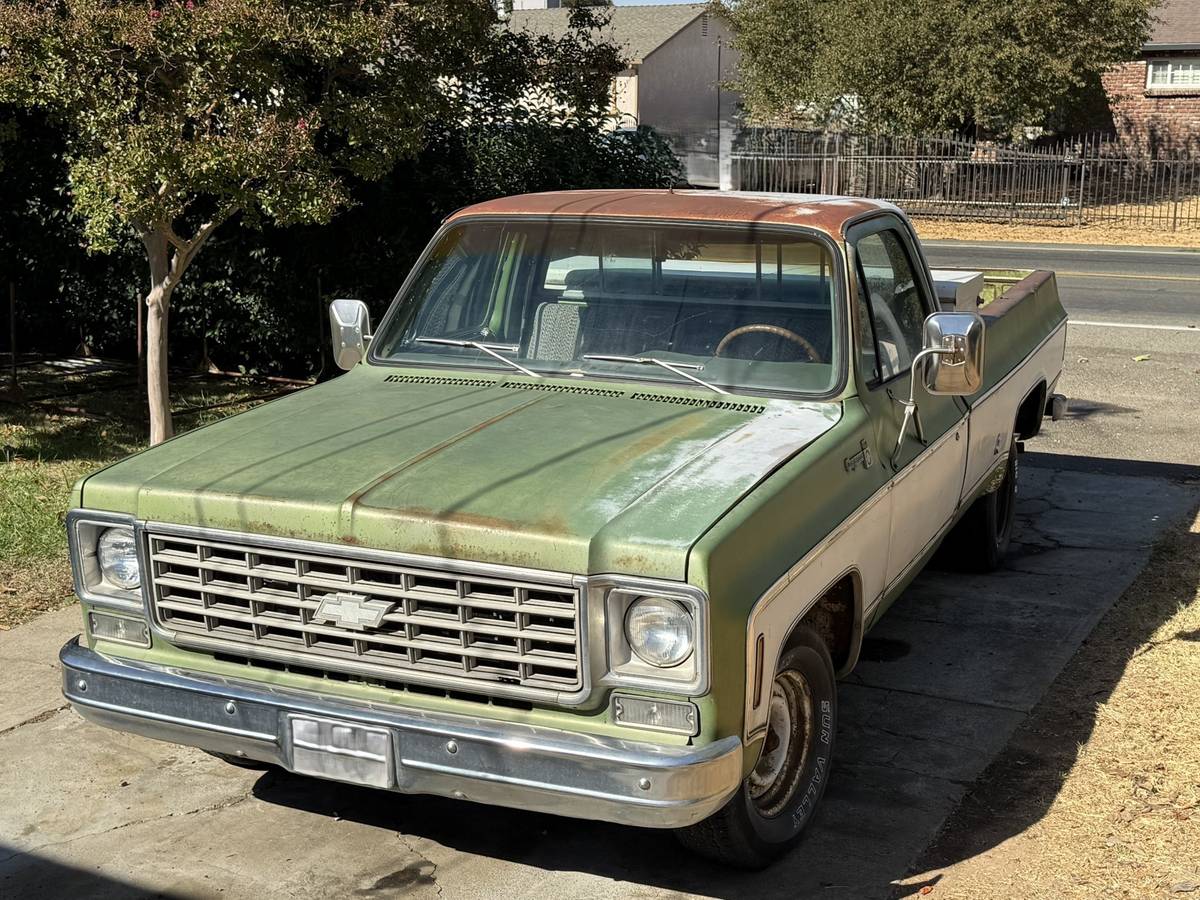 Chevrolet-C10-1976-17