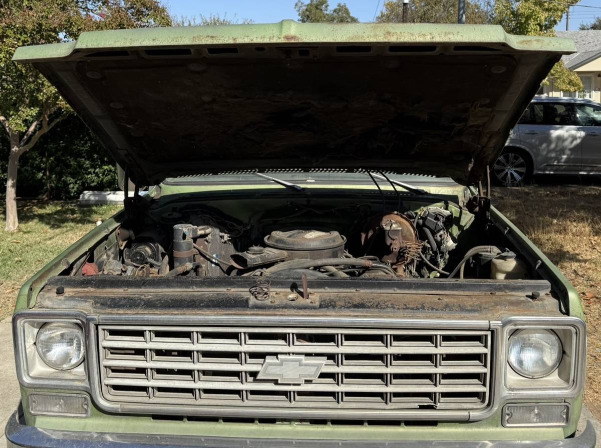 Chevrolet-C10-1976-2