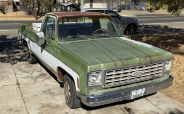 Chevrolet-C10-1976-3