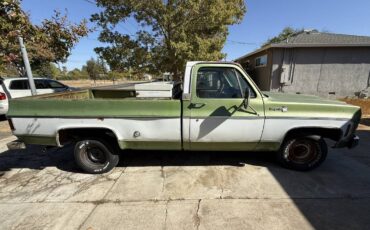 Chevrolet-C10-1976-4