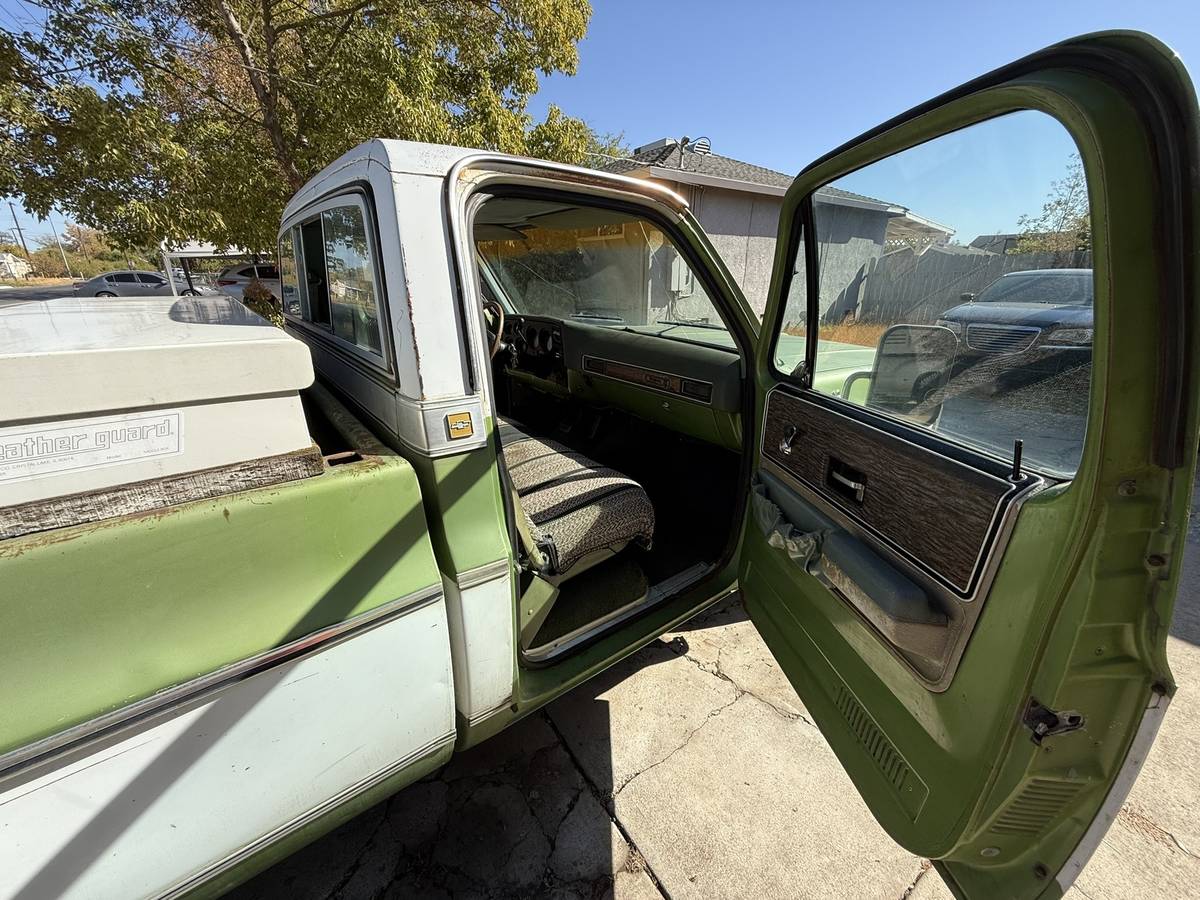 Chevrolet-C10-1976-5