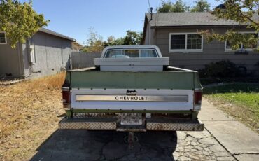 Chevrolet-C10-1976-8