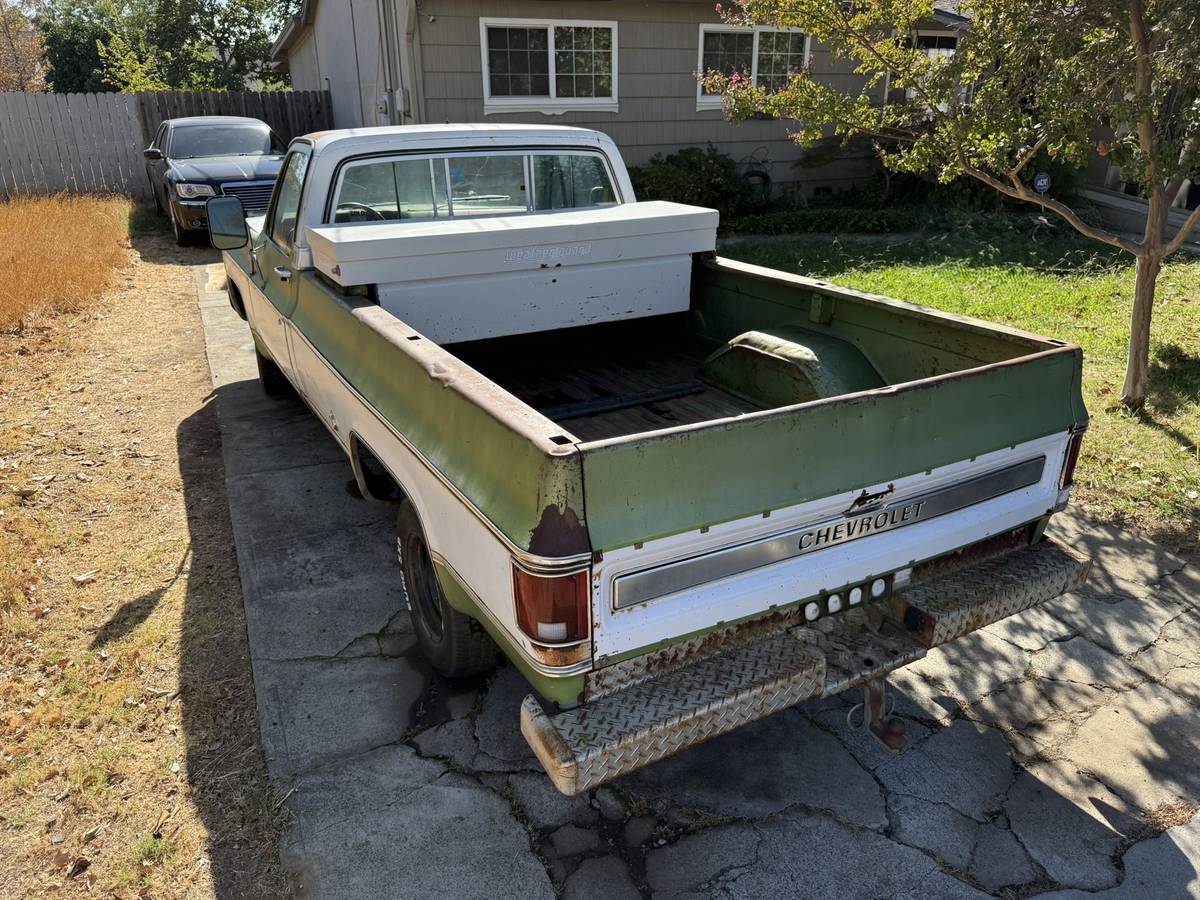 Chevrolet-C10-1976-9