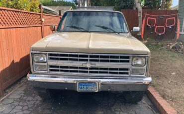 Chevrolet-C10-4x4-1986-3