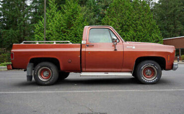 Chevrolet-C10-Pickup-1978-8