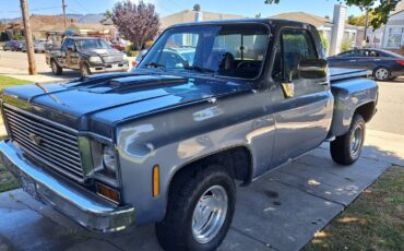 Chevrolet-C10-pickup-1973-1