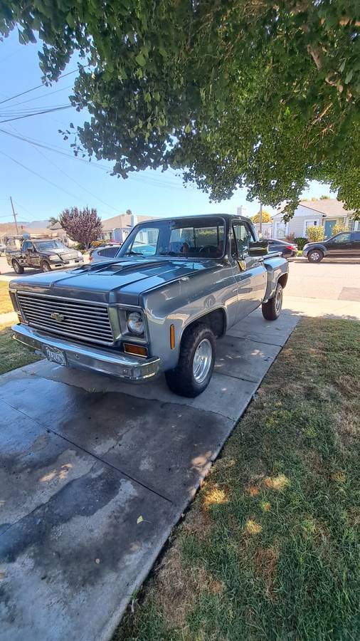 Chevrolet-C10-pickup-1973-12