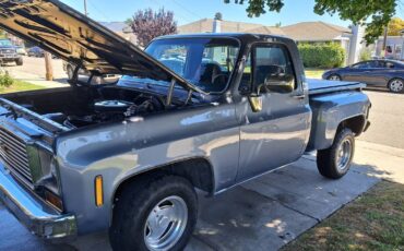 Chevrolet-C10-pickup-1973-13