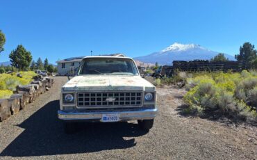 Chevrolet-C20-scottsdale-1980-1