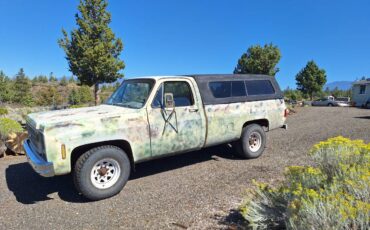 Chevrolet-C20-scottsdale-1980