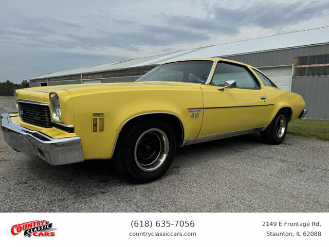 Chevrolet-Chevelle-1973-4