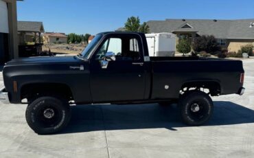 Chevrolet-Cheyenne-1500-1978-2