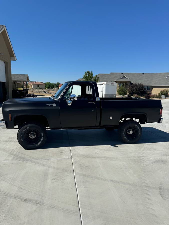 Chevrolet-Cheyenne-1500-1978-2