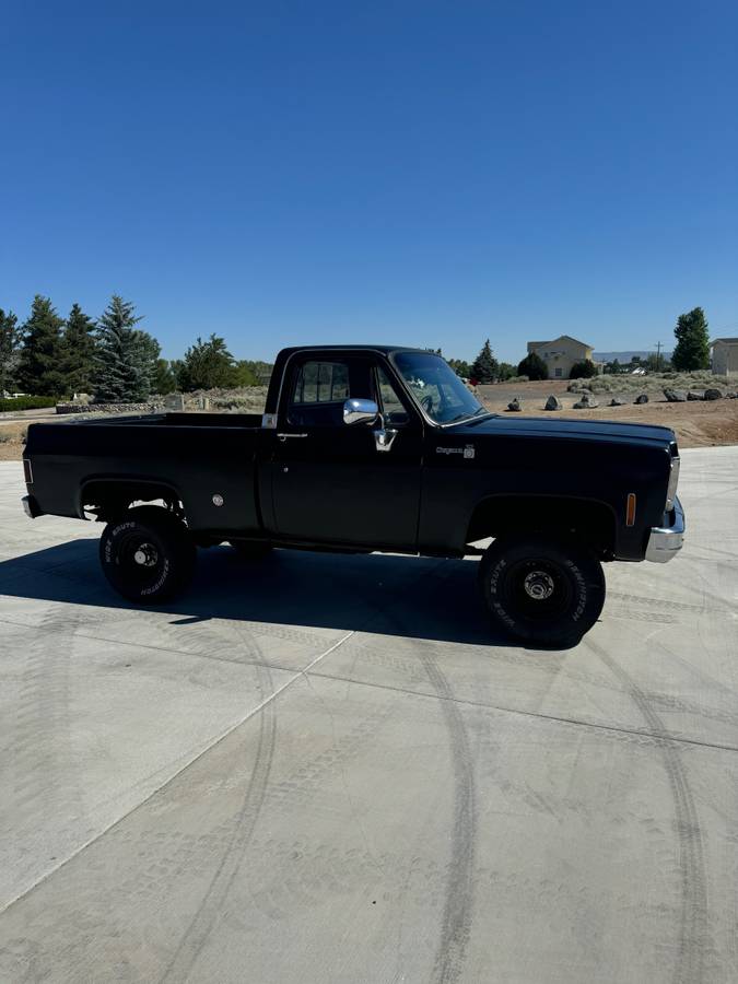 Chevrolet-Cheyenne-1500-1978-3