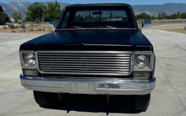 Chevrolet-Cheyenne-1500-1978