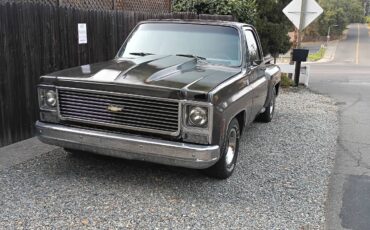 Chevrolet-Cheyenne-1979-2