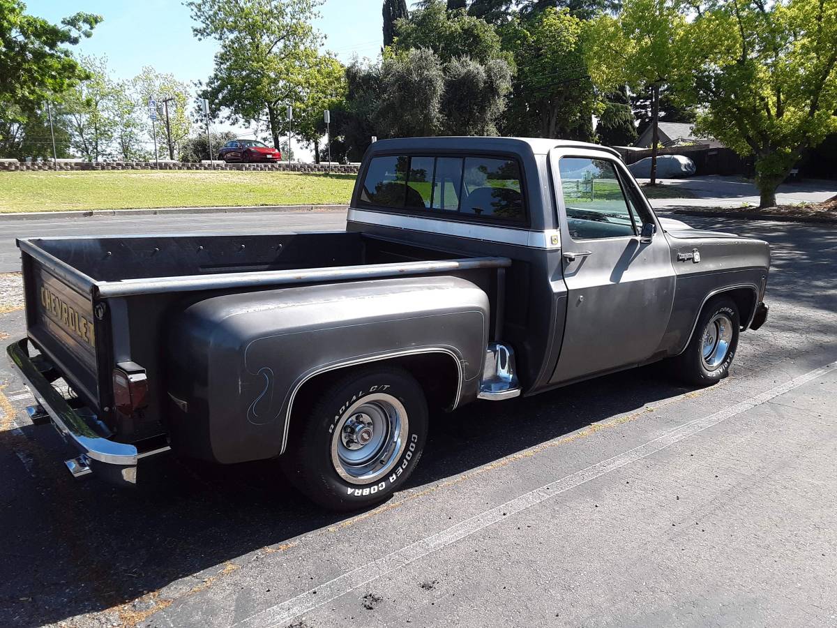 Chevrolet-Cheyenne-1979-5