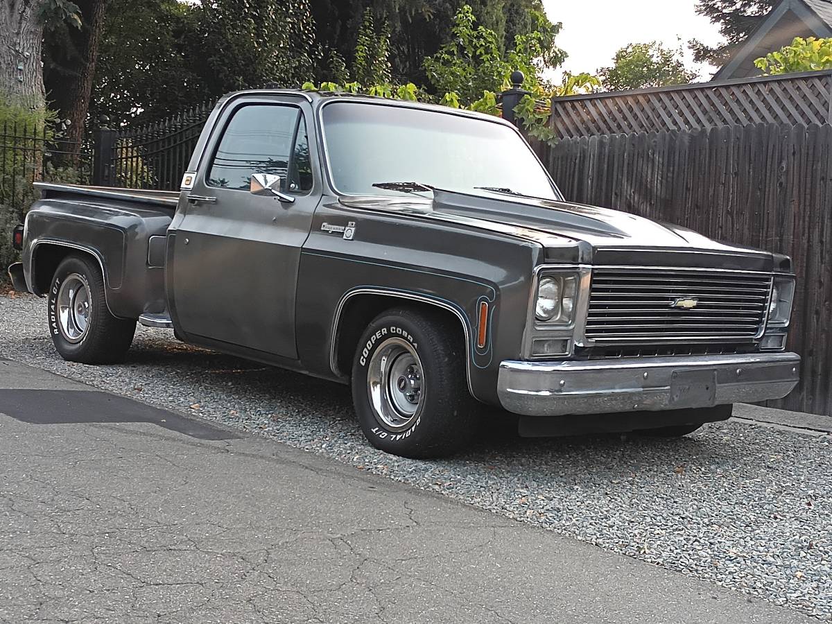 Chevrolet-Cheyenne-1979-6