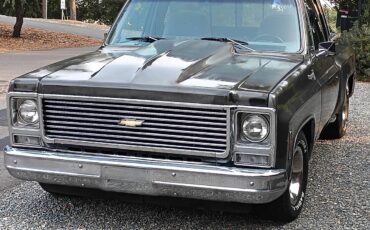 Chevrolet-Cheyenne-1979